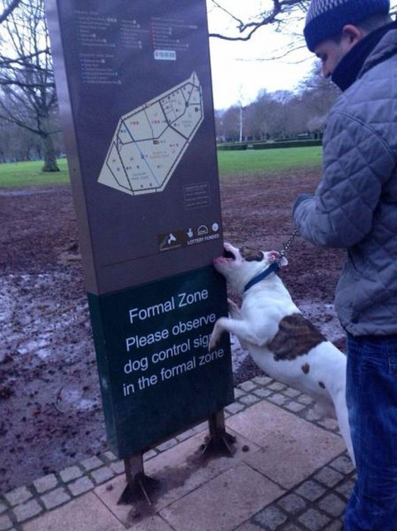 funny-pictures-884