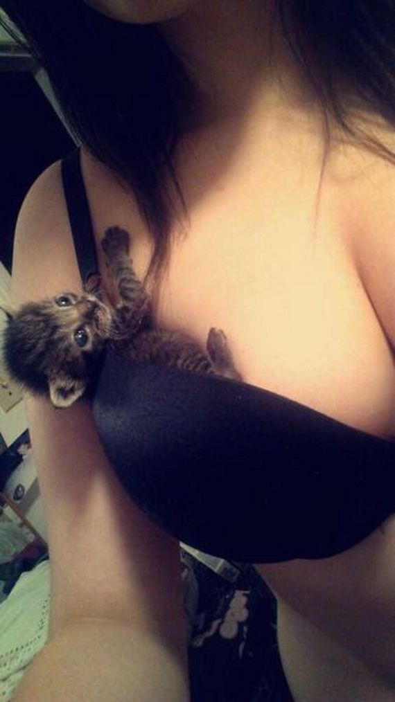 funny-pictures-885