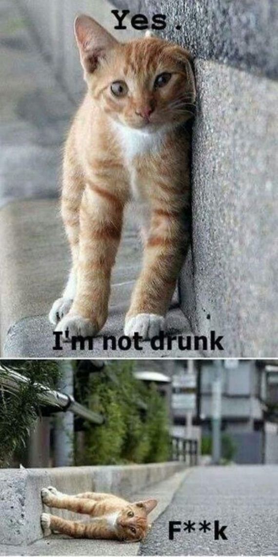 funny-pictures-885