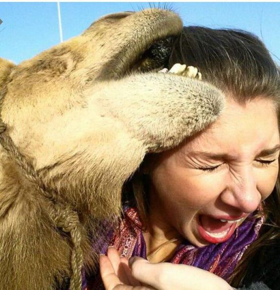 funny-pictures-886