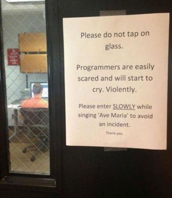 funny-pictures-887