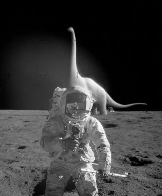 funny-pictures-890