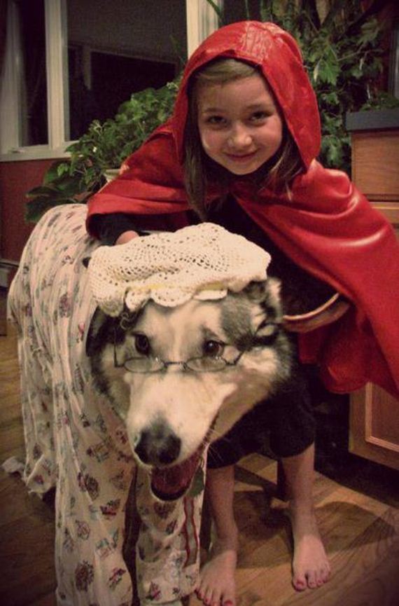 funny-pictures-890