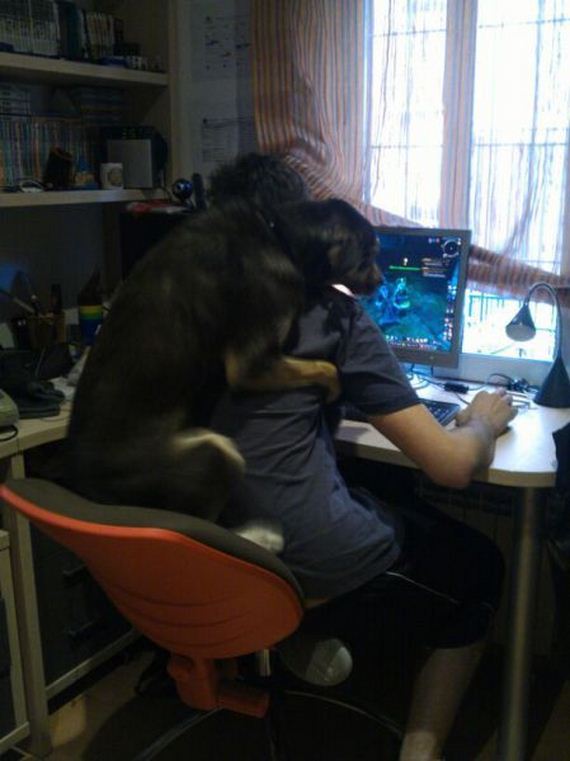 funny-pictures-892