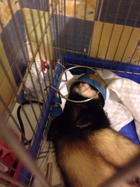 funny-pictures-892