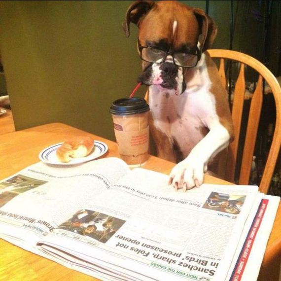 funny-pictures-894