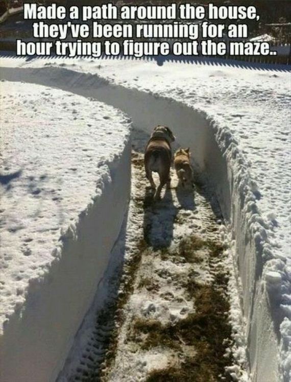 funny-pictures-895