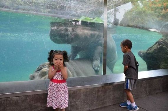 funny-pictures-895