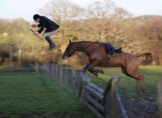 funny-pictures-895
