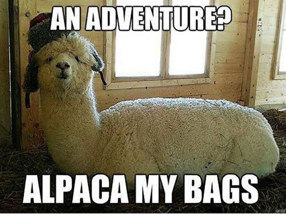 funny-pictures-895