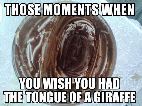 funny-pictures-895