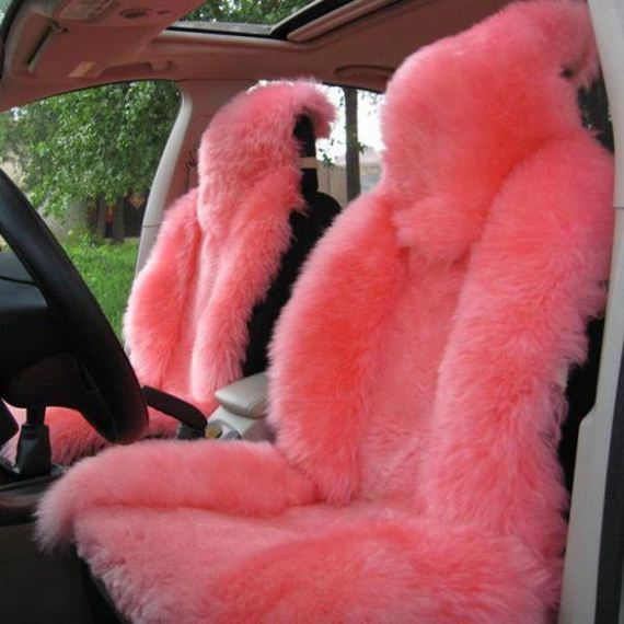 funny-pictures-895
