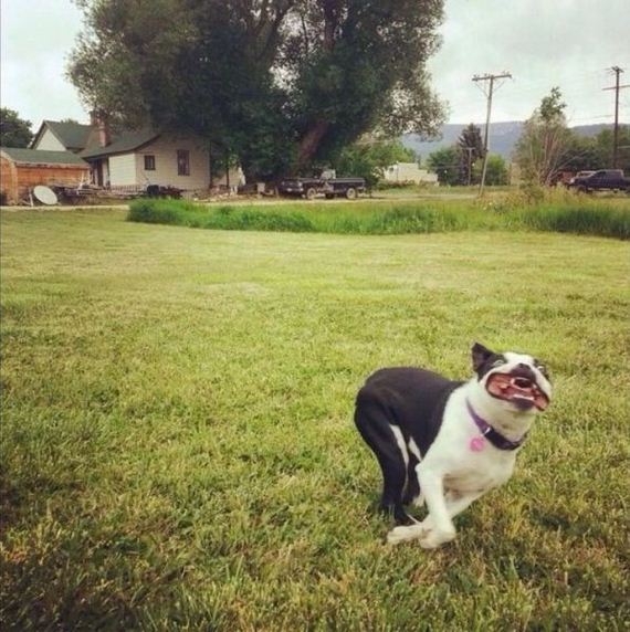 funny-pictures-895
