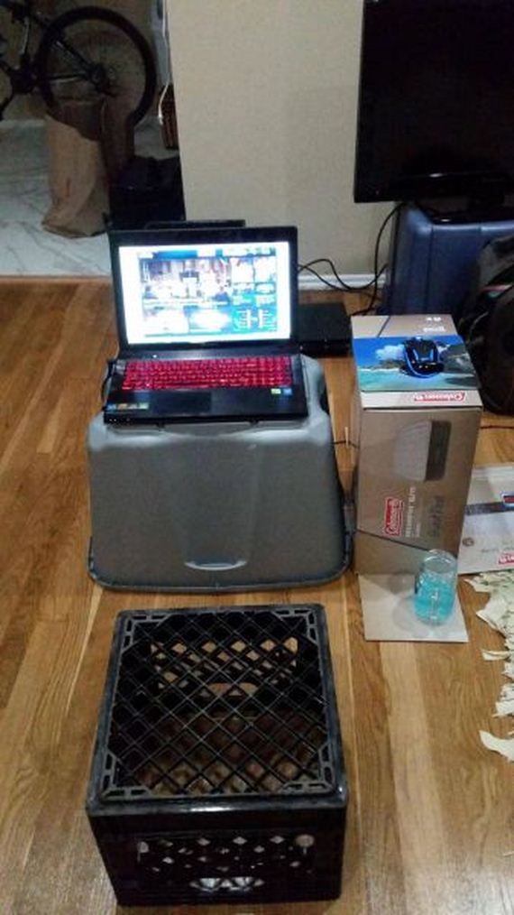 funny-pictures-895
