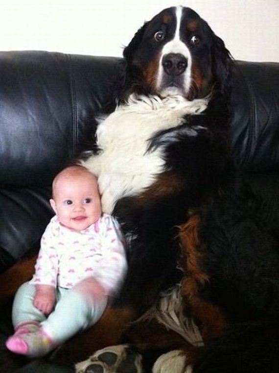 funny-pictures-898