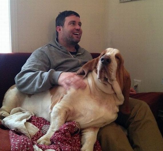 funny-pictures-898