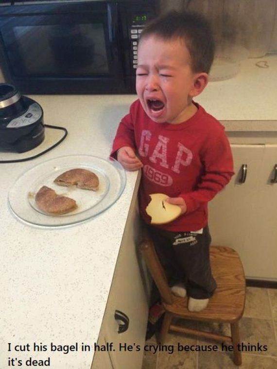 funny-pictures-901