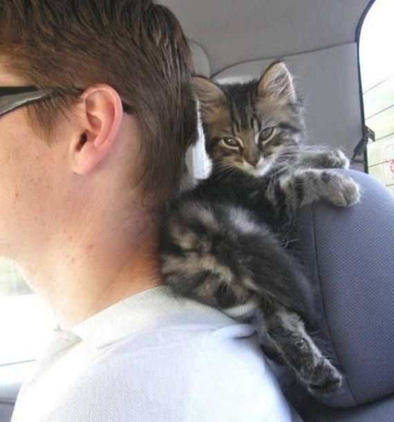 funny-pictures-901