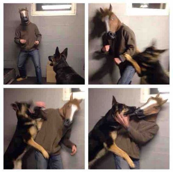 funny-pictures-901