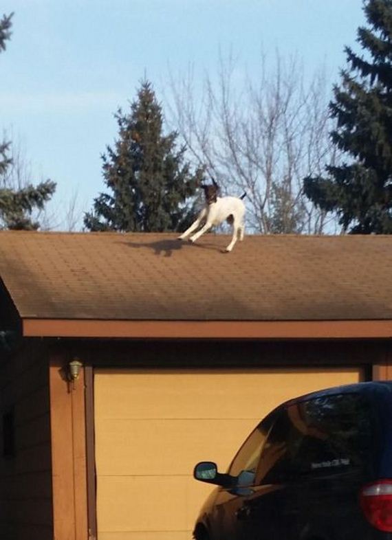 funny-pictures-901
