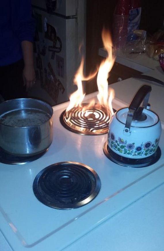 funny-pictures-901