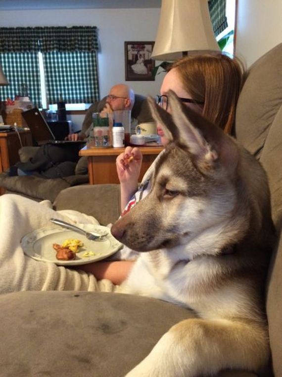 funny-pictures-903