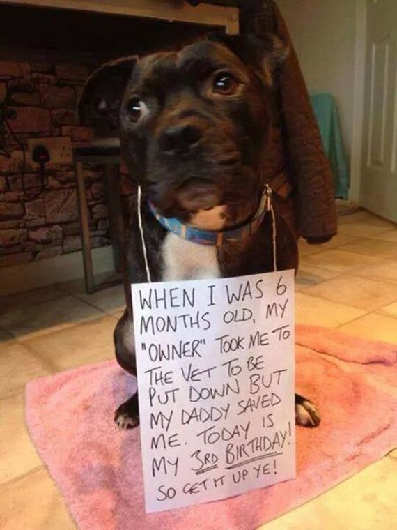 funny-pictures-903