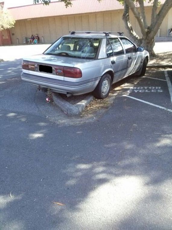 funny-pictures-903