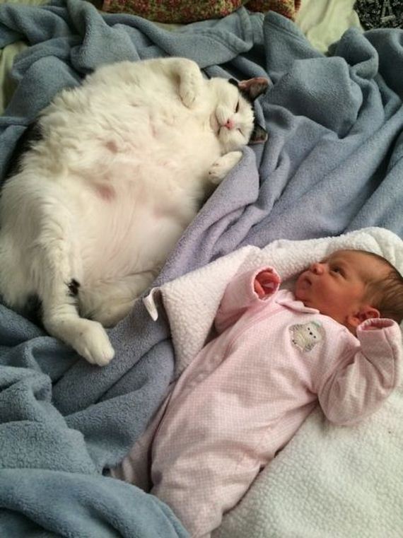 funny-pictures-903
