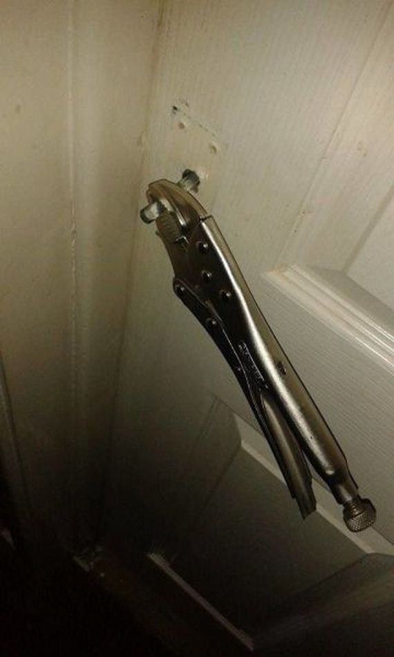 funny-pictures-905