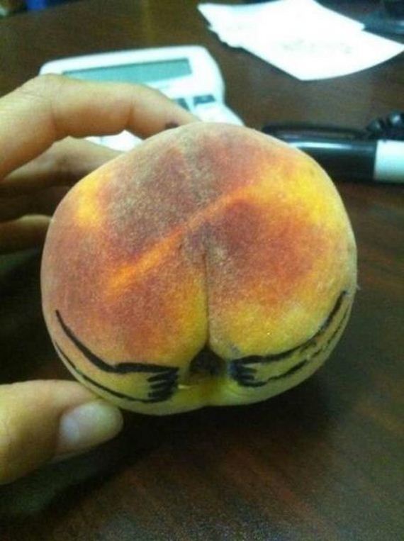 funny-pictures-907