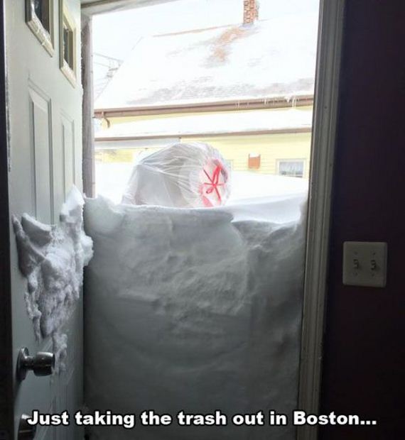 funny-pictures-907