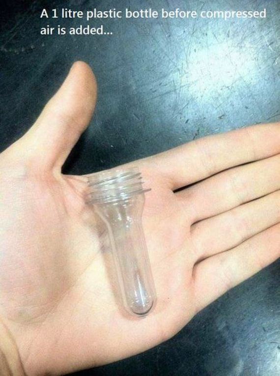 funny-pictures-908