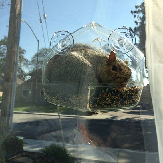 funny-pictures-909