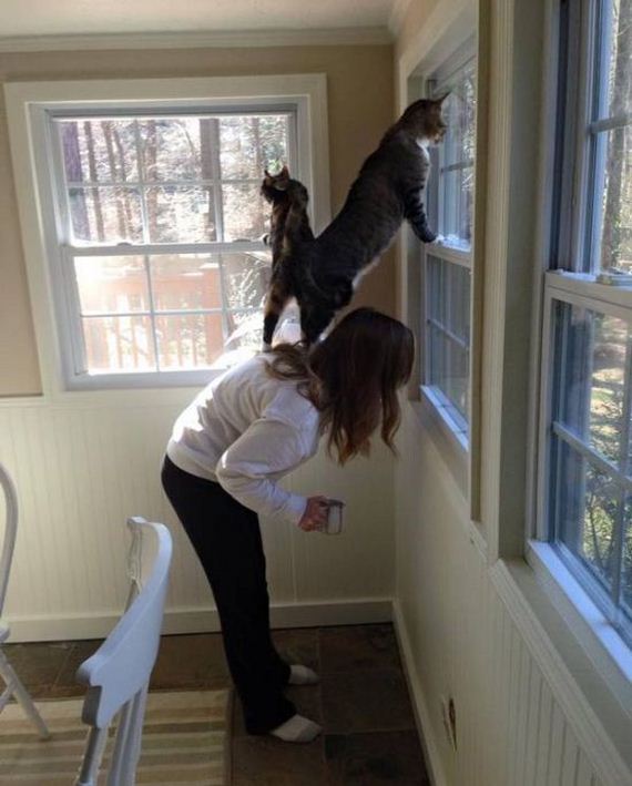 funny-pictures-909