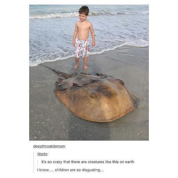 funny-pictures-909