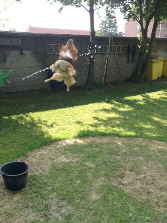 funny-pictures-909