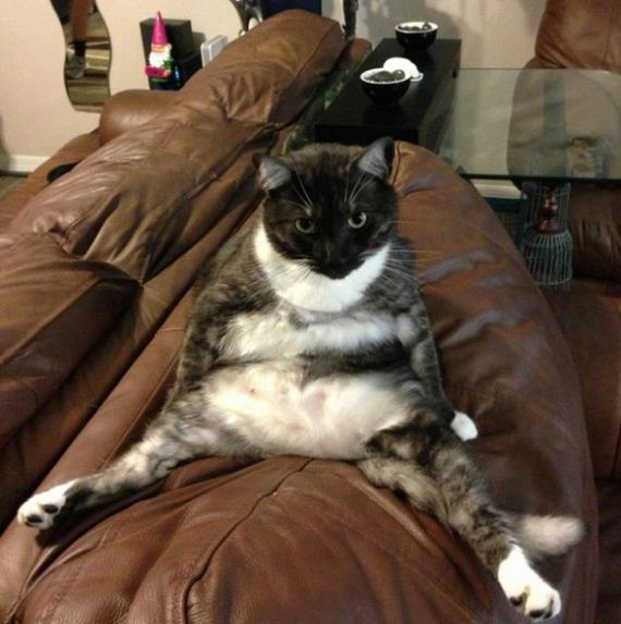 funny-pictures-911