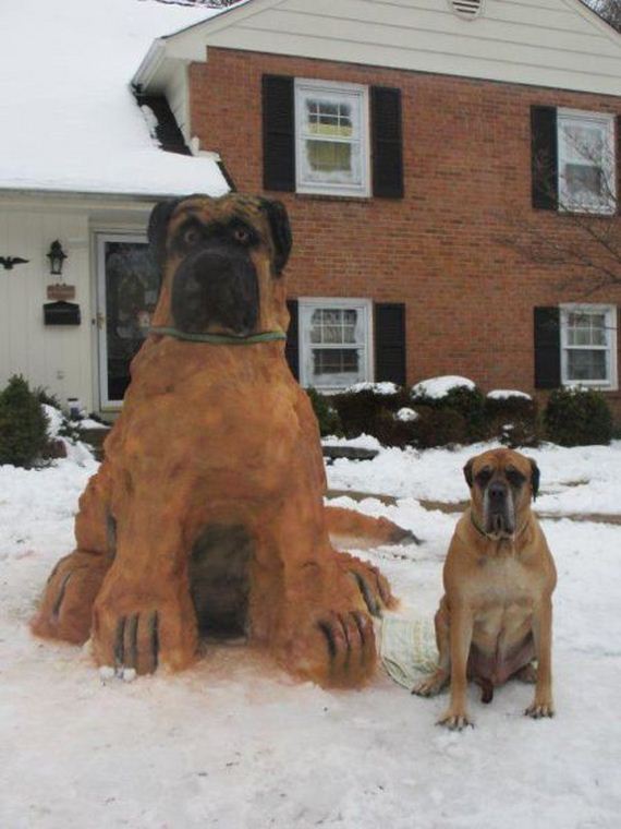 funny-pictures-911