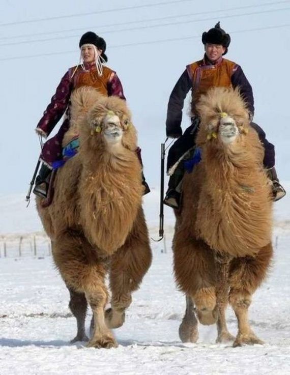 funny-pictures-912
