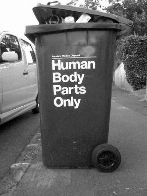 funny-pictures-912