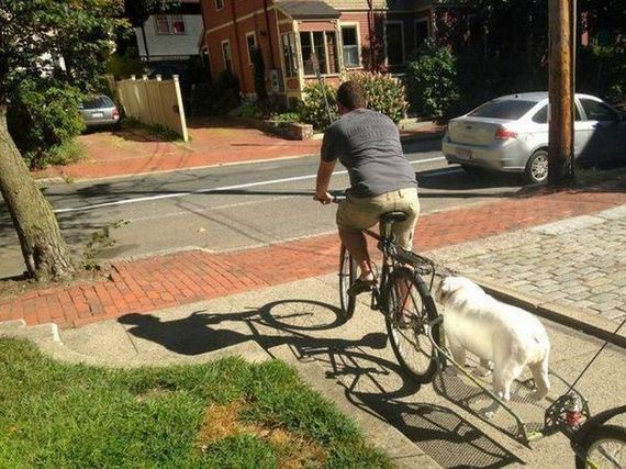 funny-pictures-913