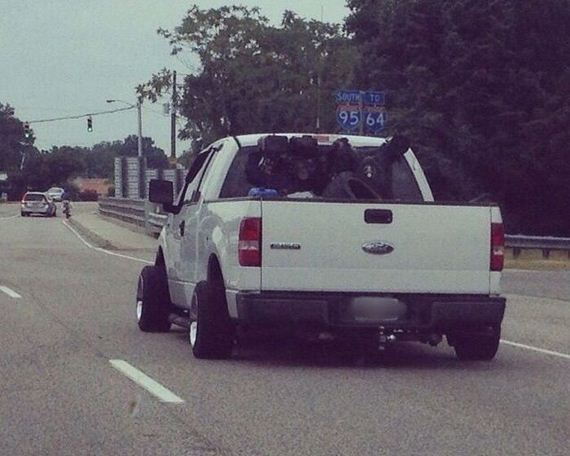 funny-pictures-913