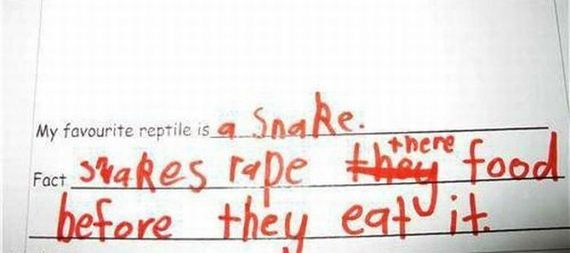 funny-pictures-913