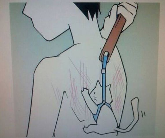 funny-pictures-913