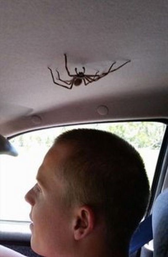 funny-pictures-913