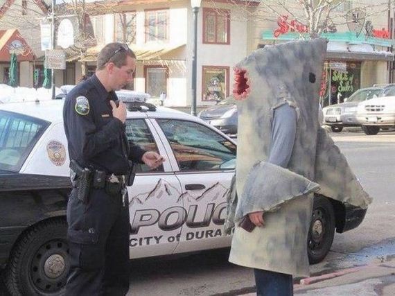 funny-pictures-914