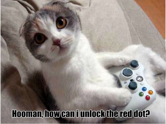 funny-pictures-914