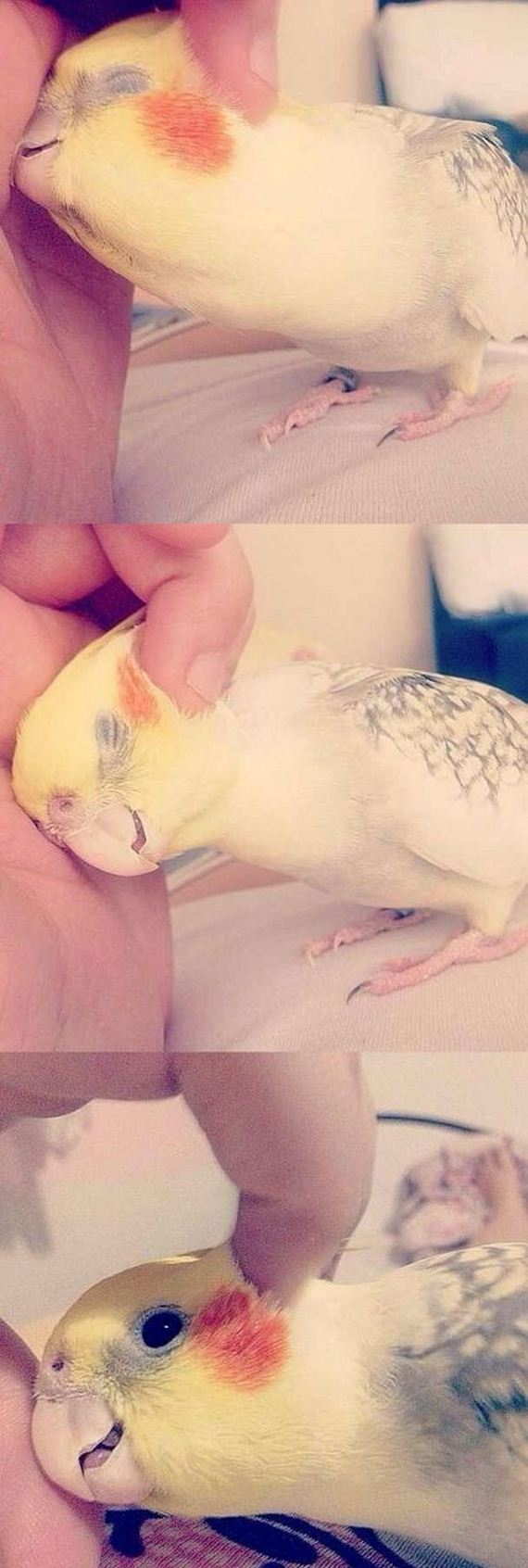 funny-pictures-914