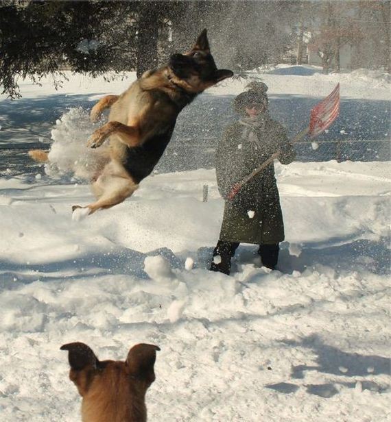 funny-pictures-914
